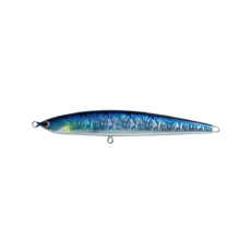 タンゲーラ240 えんぴつサンマ fish trippers village タンゲーラ240 エンピツサンマ | NOW VILLAGE