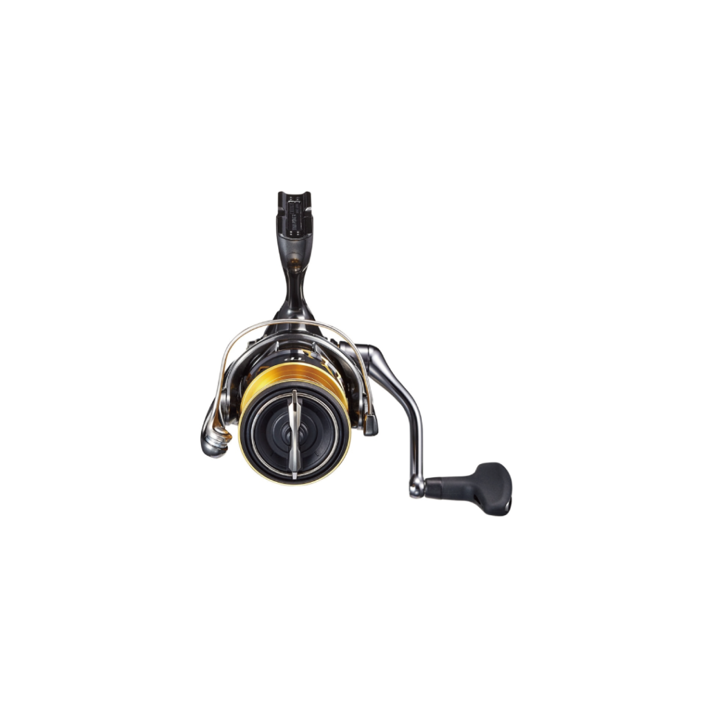 SEPTEMBER SESSIONS | FISHING / SURFING / LIFESTYLE | OnlineStore