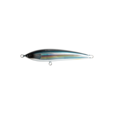 SEPTEMBER SESSIONS | FISHING / SURFING / LIFESTYLE | OnlineStore