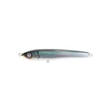SEPTEMBER SESSIONS | FISHING / SURFING / LIFESTYLE | OnlineStore