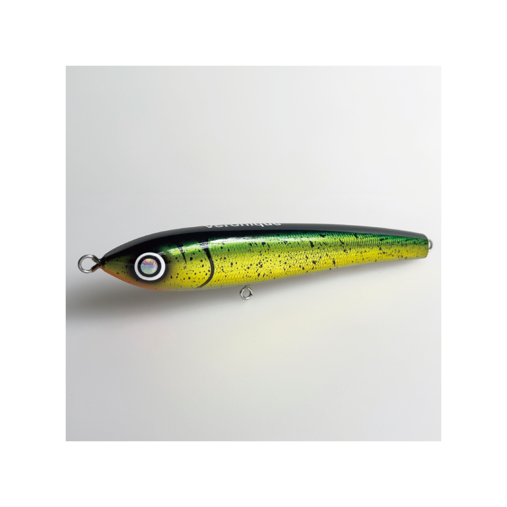SEPTEMBER SESSIONS | FISHING / SURFING / LIFESTYLE | OnlineStore
