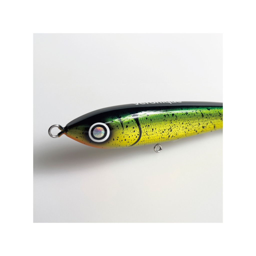 SEPTEMBER SESSIONS | FISHING / SURFING / LIFESTYLE | OnlineStore