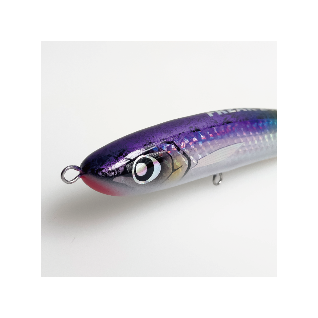 SEPTEMBER SESSIONS | FISHING / SURFING / LIFESTYLE | OnlineStore