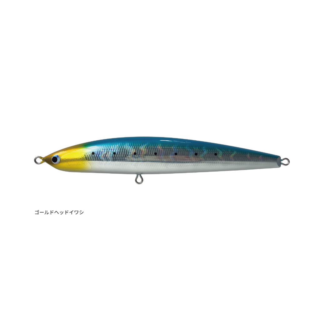 SEPTEMBER SESSIONS | FISHING / SURFING / LIFESTYLE | OnlineStore