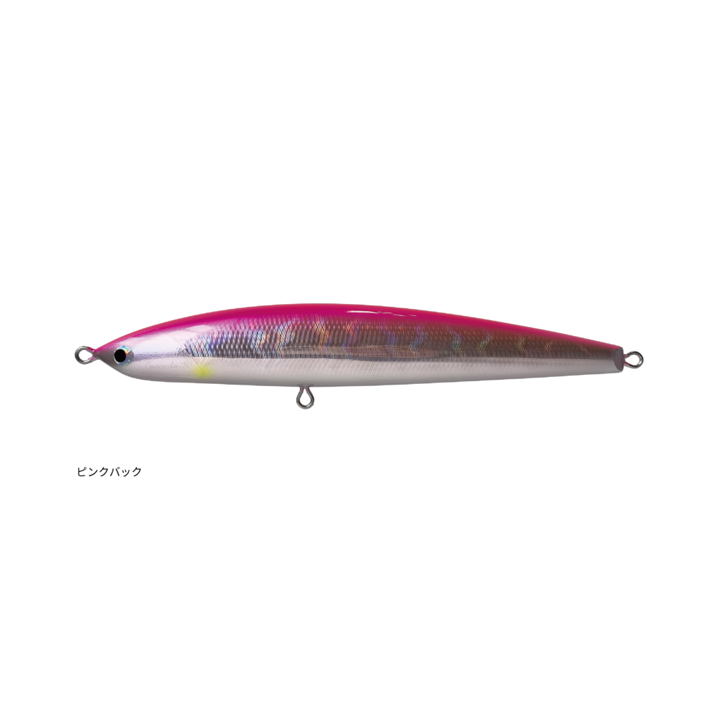 SEPTEMBER SESSIONS | FISHING / SURFING / LIFESTYLE | OnlineStore