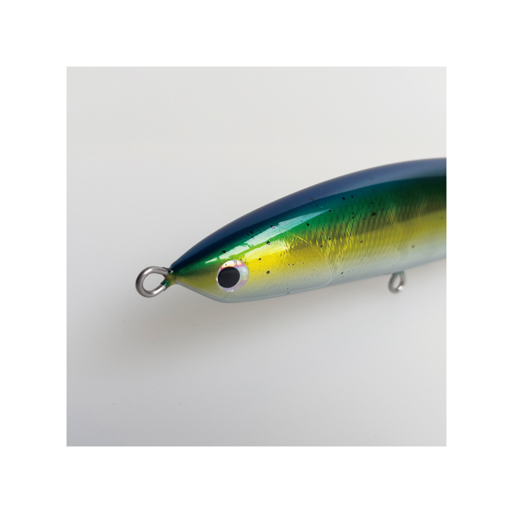 SEPTEMBER SESSIONS | FISHING / SURFING / LIFESTYLE | OnlineStore