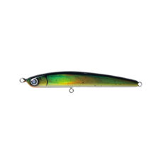 SEPTEMBER SESSIONS | FISHING / SURFING / LIFESTYLE | OnlineStore