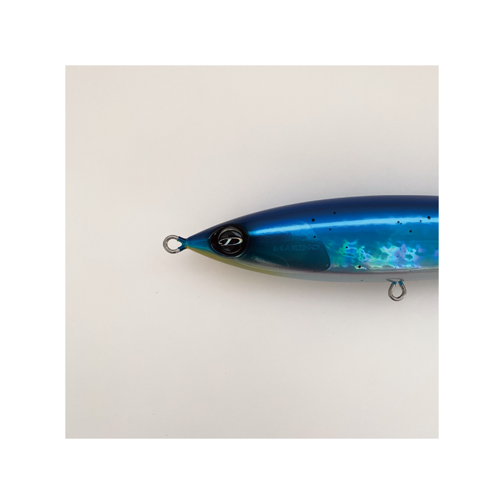 SEPTEMBER SESSIONS | FISHING / SURFING / LIFESTYLE | OnlineStore