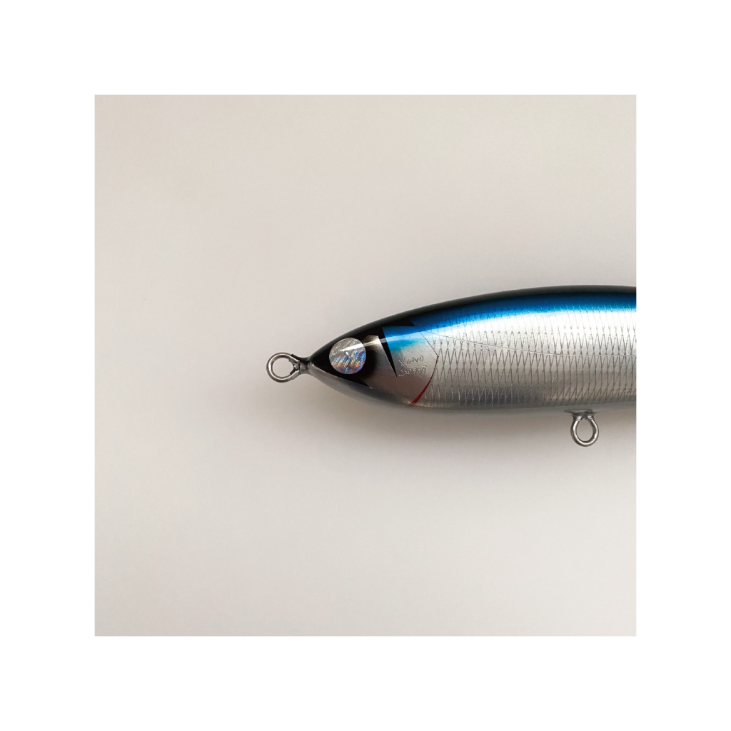 SEPTEMBER SESSIONS | FISHING / SURFING / LIFESTYLE | OnlineStore